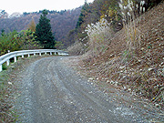 �t���b�g�_�[�g����